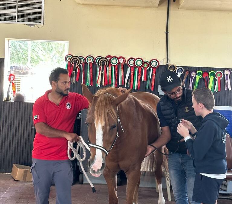 Rencontre avec les chevaux de la Police d’Abu Dhabi