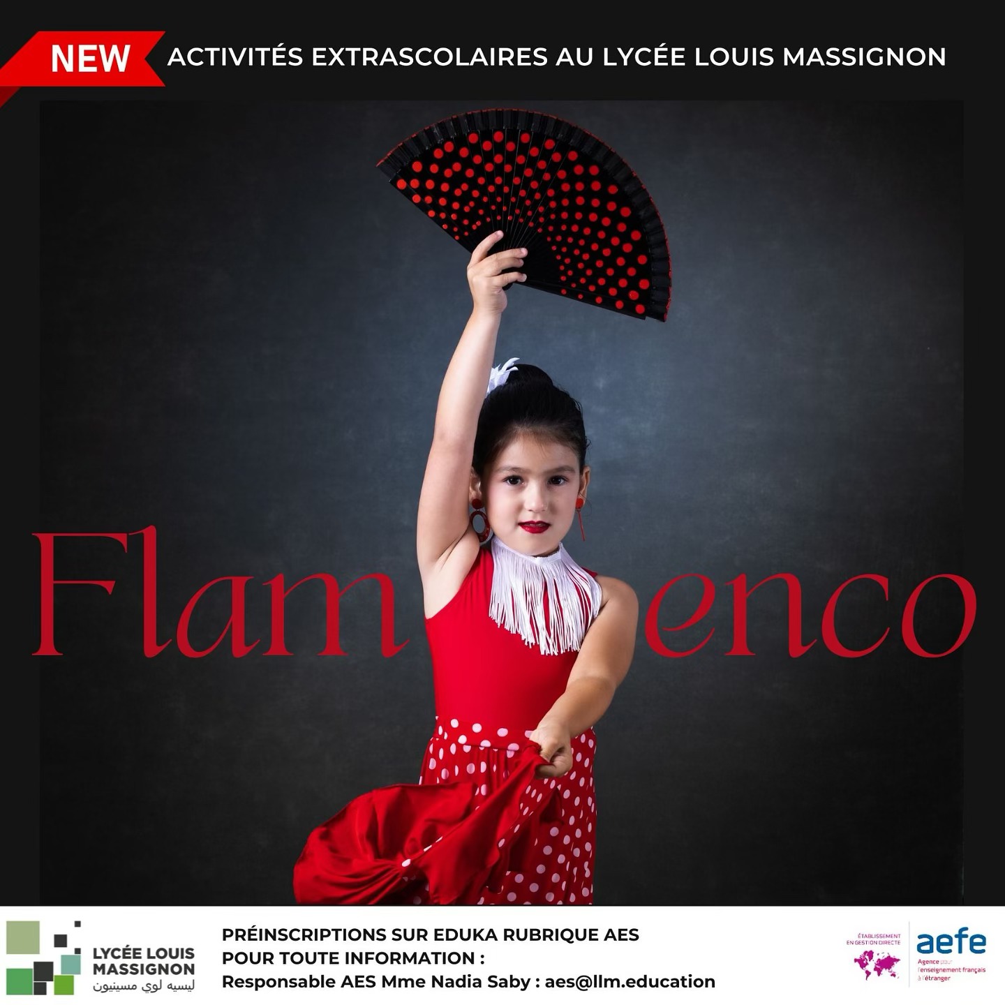 Le Flamenco fait son entrée au lycée Louis Massignon !